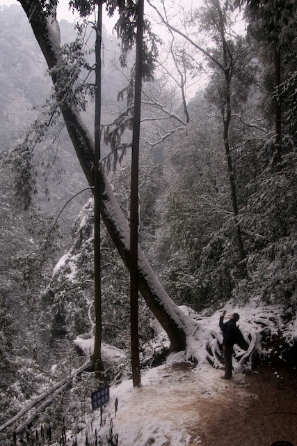 Sichuan rural 四川 3